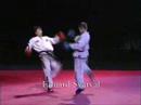 Prof Fights Taekwon-do (ITF) in Estonia. (Music -"FIGHT")