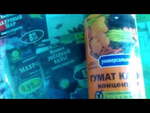Чудо в бутылочке.ГУМАТ