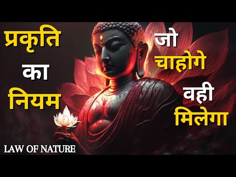 वीडियो: प्रकृति में बल कैसे कार्य करते हैं?