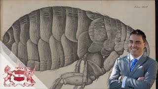 Plagues upon the Earth: The Natural History of Human Germs | Kyle Harper