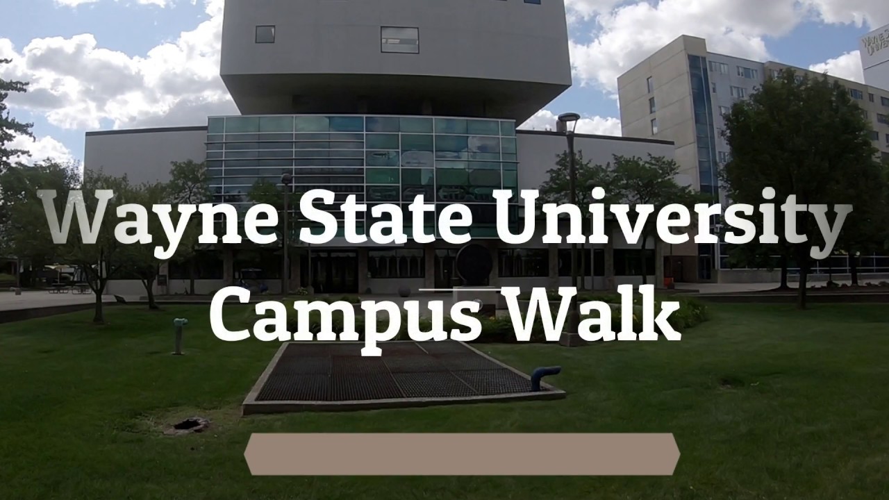 wayne state university college tour