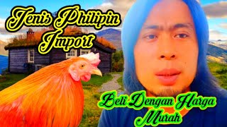 JENIS AYAM PHILIPIN DAN BANGKOK. 