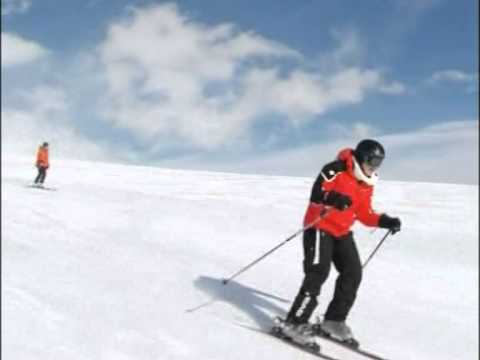 \"ახალი გუდაური\"