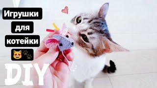 TOYS FOR CATS OWN HANDS DIY life hacks