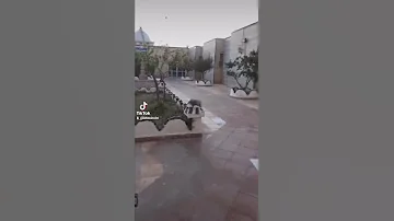 حمام ربي للراحة و الاستجمام سعيدة 