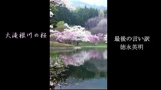 徳永英明/最後の言い訳「大滝根川の桜風景」