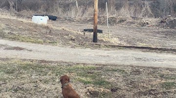 Watch the efficiency of our railroad tie replacement machines 1 of 2