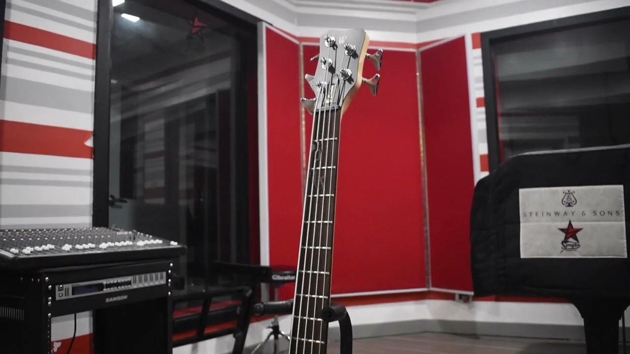 Warwick Rockbass Corvette Basic 5-string bass guitar (SPRYTA PRODUCTIONS INC.)