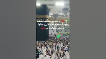 سورة البقرة #سورة_البقرة #القرآن_الكريم #اكسبلور #دويتو #duet #القرآن