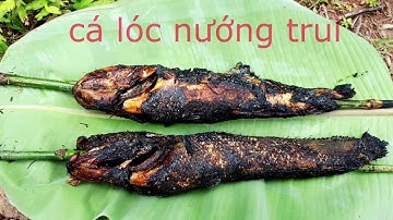 Hướng dẫn làm món cá lóc nướng trui cho các bữa tiệc, pinic, dã ngoại