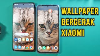 Cara Tutorial Live Wallpaper Bergerak Cat Kucing Lucu MIUI 13 12.5 Xiaomi, Redmi , POCO