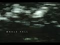 Whale Fall - Whale Fall [Full Album]