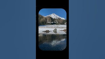 أَفَلَا يَتُوبُونَ إِلَى اللهِ وَيَسْتَغْفِرُونَهُ | قرآن بصوت القارئ حازم سيف #سورة_المائدة