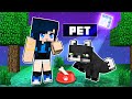 Building a ROOM for my PET in Krewcraft!