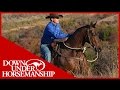 Clinton Anderson: Fundamentals on the Trail, Part 1 - Downunder Horsemanship