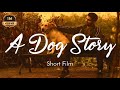 A DOG STORY - Short Film