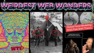 weirdest web wonders vol 12