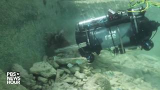 Lionfish robot zapper hits the open water