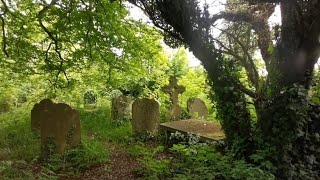 Strange Occurrence - What Appeared On Video?