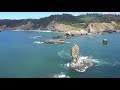 Ecola State Park DJI Mavic Pro 2 drone footage