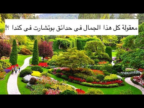 حدائق بوتشارت كندا  