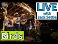 BIRDS- Jack Settle LIVE at When Pigues Fly