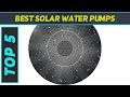 Best solar water pumps 2023