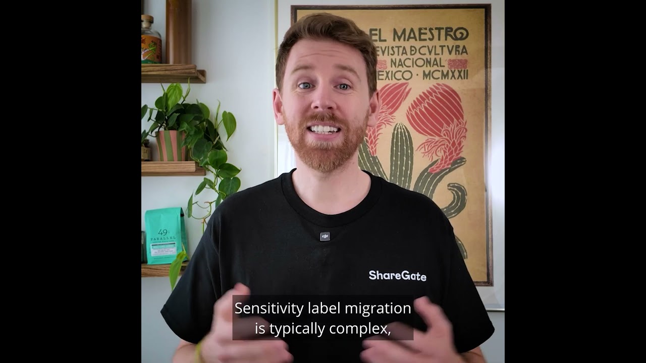 How to Migrate Microsoft Sensitivity Labels | Secure M365 Tenant-to-Tenant Migration