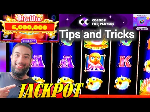 Découvrez les Sensations du Casino Megawin : Jouez en Ligne dès Maintenant