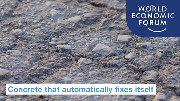 How does this concrete fix itself automatically?