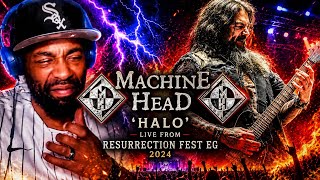 🔥 Machine Head - Halo (Live at Resurrection Fest EG 2024) | INSANE Live Performance Reaction! 🤘
