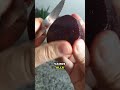 Elimina várices con 3 ingredientes naturales