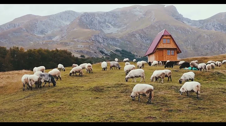 Working Music | Pomodoro 30 min | Enjoy your Freedom !