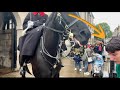 Kings guard charges with his horse  at this rude idiot and disrespectful tourist