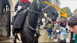 King’s guard charges with his horse  at this RUDE IDIOT and DISRESPECTFUL tourist