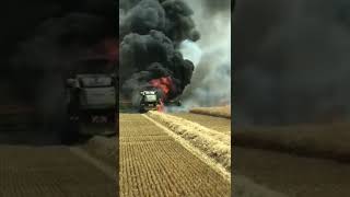 Страшные моменты для фермера, когда пожар вместо комбайна убрал урожай  😱😱😰😰 #shorts