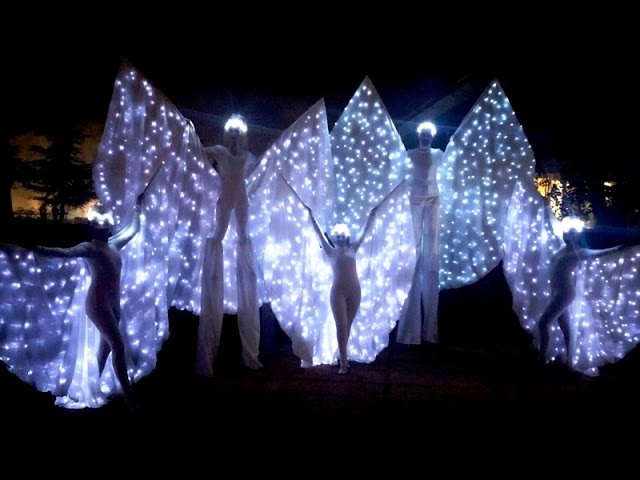FARFALLE LUMINOSE - Led Show- Bright Butterflies - ali luminose - Sasselles  Show - EXCELSIOR VENEZIA 