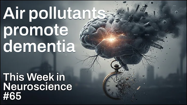 TWiN 65: Air pollutants promote dementia