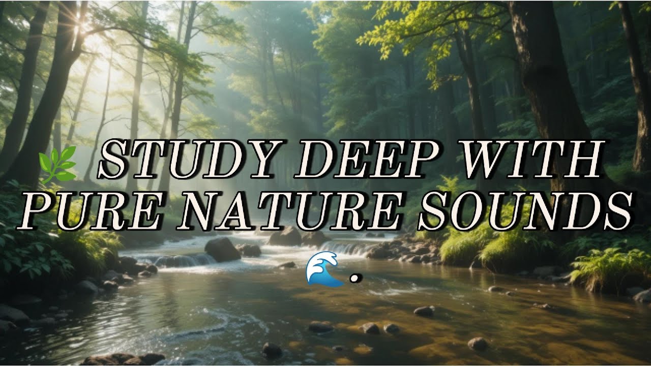 Pure Nature Sounds for Study Focus