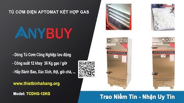 Tủ nấu cơm điện aptomat 12 khay kết hợp gas TCDHG 12KG