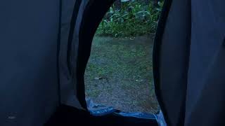 Sleep in a Tent under Heavy Relaxing Rain | Help Study, PTSD, Insomnia &amp; Tinnitus