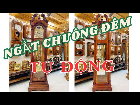 TỦ CÂY PHIÊN BẢN GIỚI HẠN VÀ TỰ ĐỘNG TẮT CHUÔNG ĐÊM