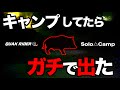 【ソロキャン】猪と遭遇したキャンプツーリング恐怖の夜〜プレゼント企画あり【キャンプ飯】#43