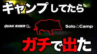 【ソロキャン】猪と遭遇したキャンプツーリング恐怖の夜〜プレゼント企画あり【キャンプ飯】#43