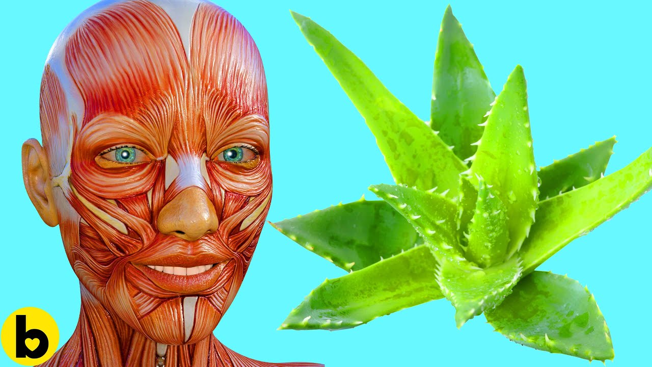 Using Aloe Vera everyday does this to your Body