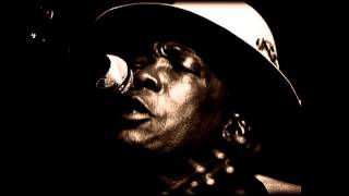 JOHNNY LEE HOOKER - WANT AD BLUES