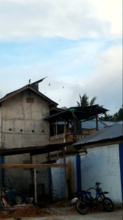 Rbw mini respon harian setelah 1bln   