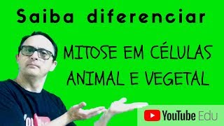 DIFERENÇAS ENTRE MITOSE DE CÉLULAS VEGETAL E ANIMAL