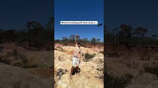 Try This Trick for Epic Bullet Time Shots ⭐ | Insta360 X5
Create stunning Bullet Time shots with just a simple swing. 🚀 Capture everything in 360, then reframe later to turn one clip into endless creative travel transitions.
✨Try it yourself: https://bit.ly/Insta360X5_tutorial
#insta360 #insta360x5 #360camera #tutorial #tipsandtricks
Learn more about our flagship products:
- Insta360 X5: https://store.insta360.com/product/x5?utm_source=youtubetutorial&utm_medium=socialorganic&utm_campaign=tutorialvideo
- Insta360 Ace Pro 2: https://store.insta360.com/product/ace-pro-2?utm_source=youtubetutorial&utm_medium=socialorganic&utm_campaign=tutorialvideo
- Insta360 GO Ultra: https://store.insta360.com/product/go-ultra?utm_source=youtubetutorial&utm_medium=socialorganic&utm_campaign=tutorialvideo
- Insta360 Flow 2 Pro: https://store.insta360.com/product/flow-2-pro?utm_source=youtubetutorial&utm_medium=socialorganic&utm_campaign=tutorialvideo
- Insta360 Link 2 Pro: https://store.insta360.com/product/flow-2-pro?utm_source=youtubetutorial&utm_medium=socialorganic&utm_campaign=tutorialvideo Try This Trick for Epic Bullet Time Shots ⭐ | Insta360 X5