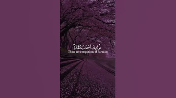 القارئ عبد الرحمن مسعد سورة يونس لِّلَّذِينَ أَحْسَنُوا الْحُسْنَىٰ وَزِيَادَةٌ ۖ